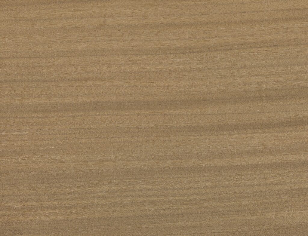 Tekstura lesa – Afromosia